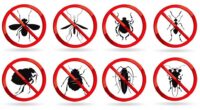 Как избавиться от насекомых в бытовке?